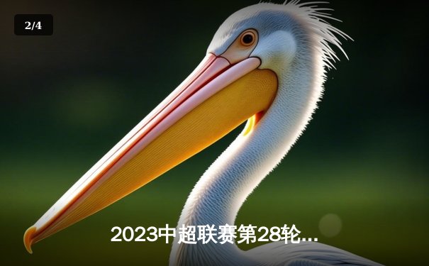 2023中超联赛第28轮：上海海港3-1山东泰山提前两轮夺冠，武磊双响锁定金靴 - 2