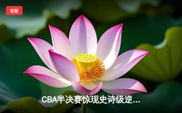 CBA半决赛惊现史诗级逆转 广东东莞大益末节狂飙淘汰浙江稠州